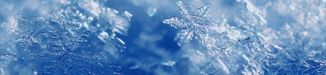 ♦︎すずらん♦︎'s header image