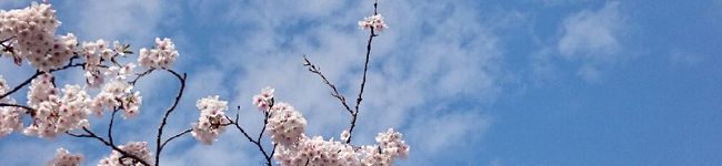 ☆亀仙人☆'s header image