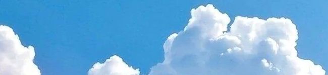 ryoxtera's header image