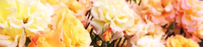 Ysaayk's header image