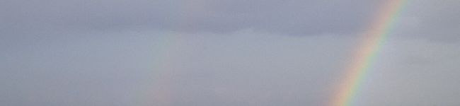 日産March's header image
