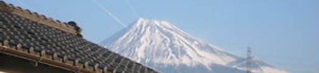 Ｐ子ママ's header image