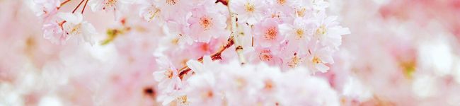 ばんばんじー❁'s header image