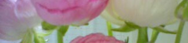 yun**'s header image