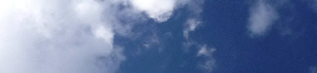 ごーわいふ's header image