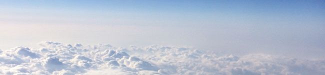ochoa's header image
