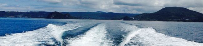 Ichi916's header image