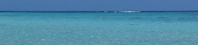 feb☆baby's header image