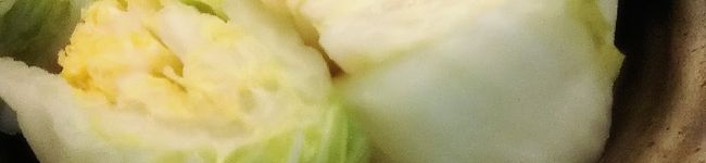 sakeパパ's header image