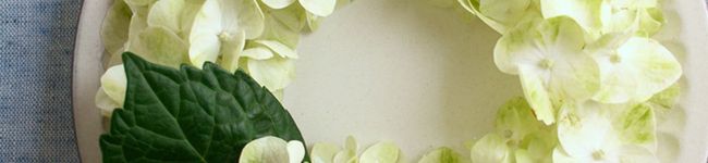 aiueoriha's header image