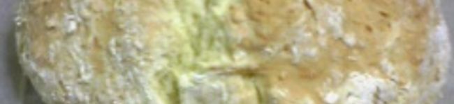 チエ蔵's header image