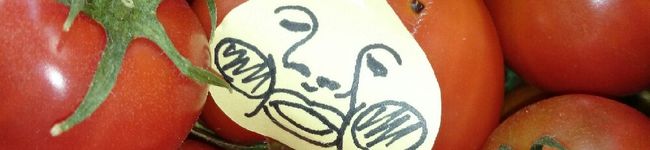 みぃたサン's header image