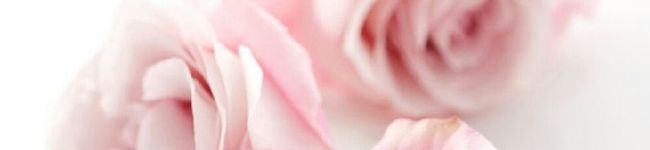 ーAngieー's header image