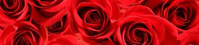薔薇リーマン's header image