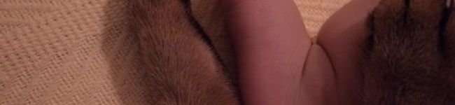 chi-na's header image
