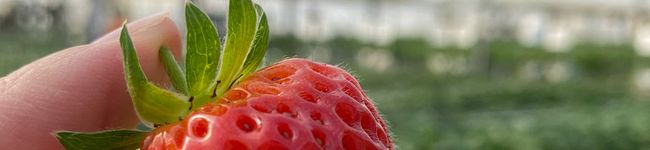 mikkiteee's header image