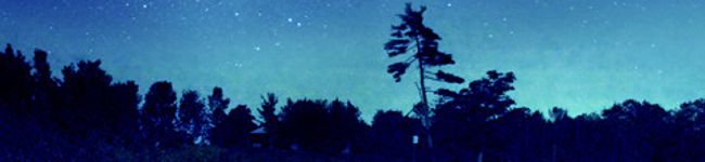nachi711's header image