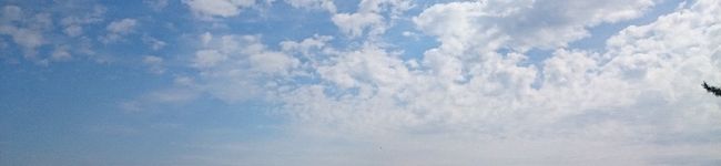 ภาพปกโพรไฟล์ของ わっしょい♬