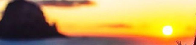 さとチャビ's header image