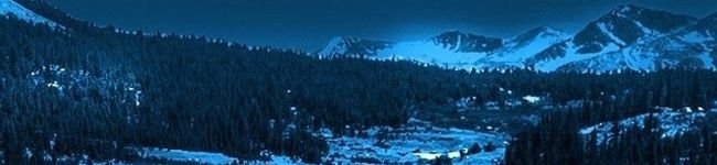 気まぐれコック's header image