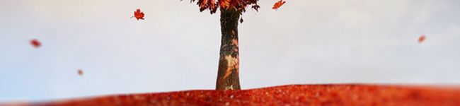 Izumin5073's header image