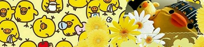 こたらパッド's header image