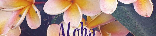 lomiangel's header image