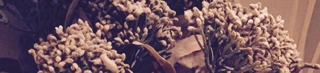 ＊Charlize＊'s header image