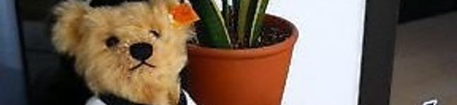 ｶﾌｪﾗﾃ's header image