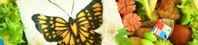ＹＯＣＣＨＩＭＡＭＡ's header image