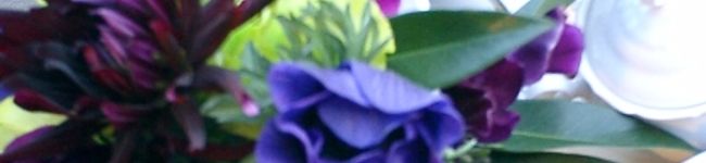 ルビー７２９'s header image