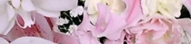 Rebekah's header image