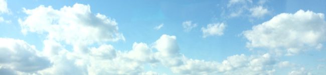 ぱねごん's header image