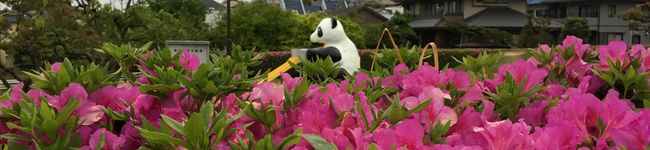 草薙レイ's header image