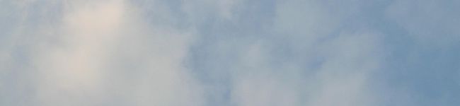 ぽいふるっこ's header image