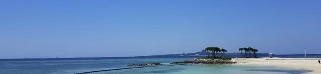 LOCOmoca's header image