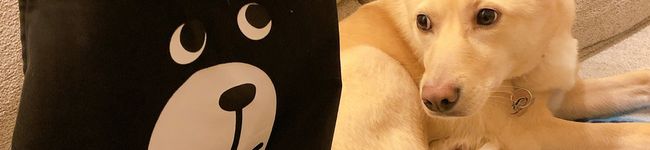 ニモたろ's header image