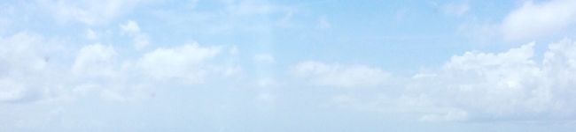 MionMeow's header image