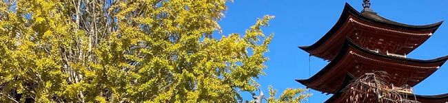 ナチュラルスタイル's header image