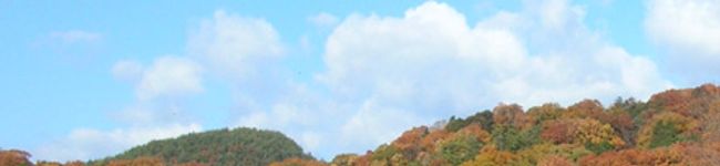 ムラタ's header image