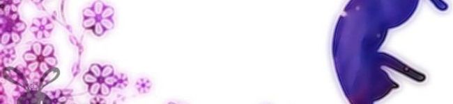 雷鳥LOVE's header image