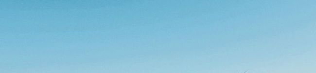 いづん0000's header image