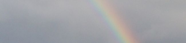 よしさん！'s header image