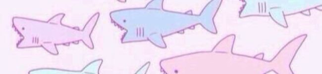 Yukachin®'s header image