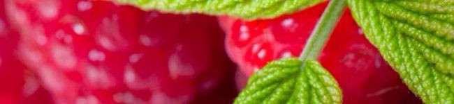 小珀0119's header image