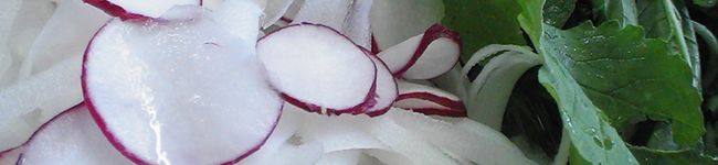 sweetmacaron's header image