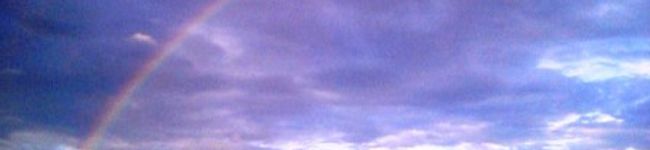 にゃぁお's header image