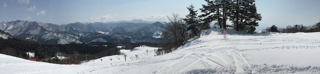 のぶ（＾◇＾）'s header image
