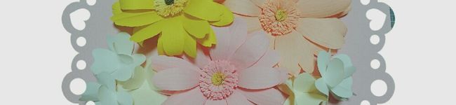 いぐたん's header image