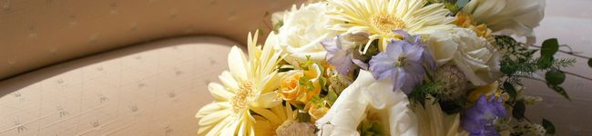 朝田みりゅう's header image